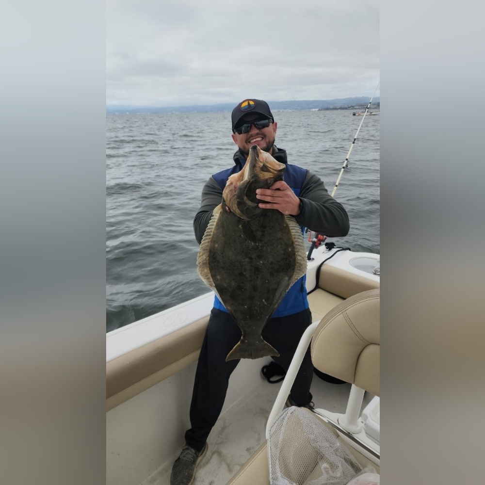 Meet your Posher, Milton